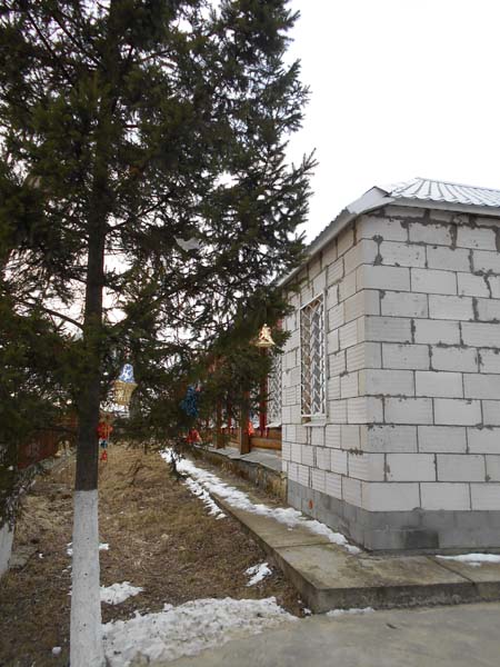 DSCN7903
